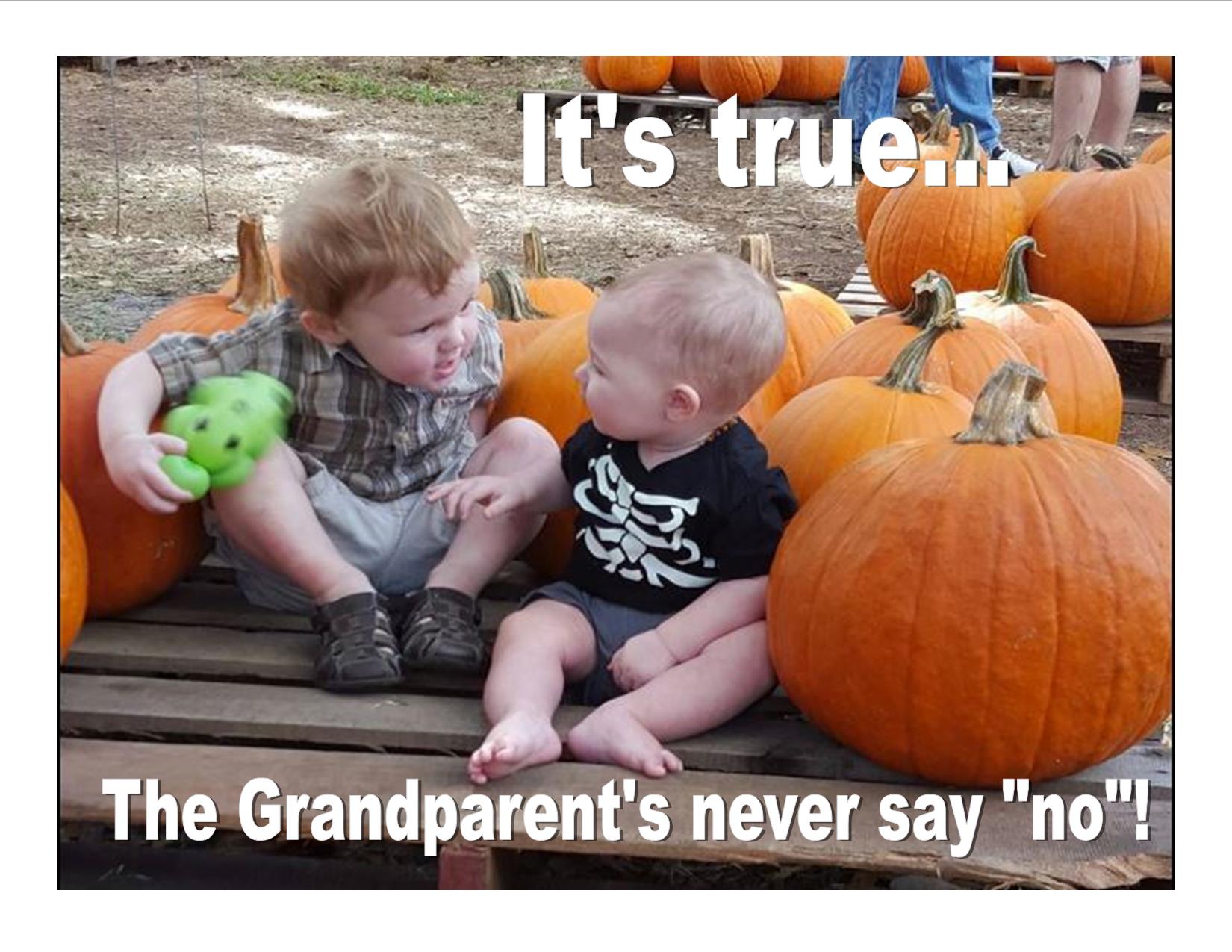 Grandparents never say no Blank Meme Template