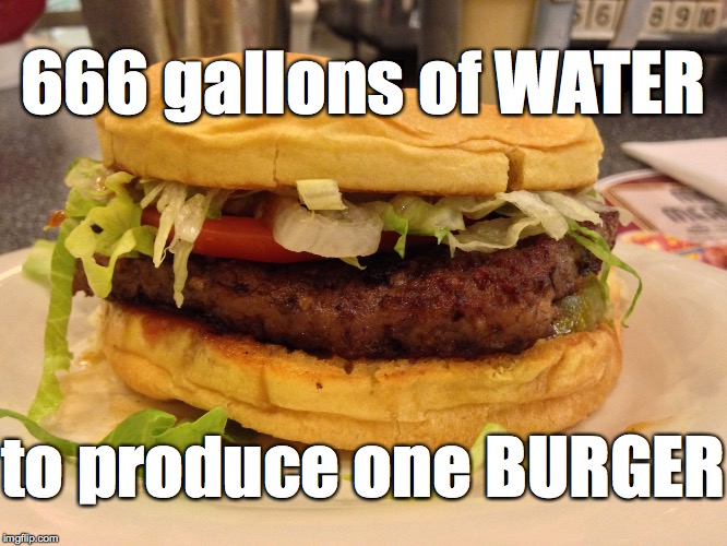 666 gallons of WATER to produce one BURGER | image tagged in all beef burger | made w/ Imgflip meme maker