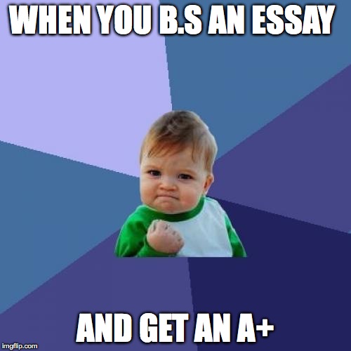 Success Kid | WHEN YOU B.S AN ESSAY AND GET AN A+ | image tagged in memes,success kid | made w/ Imgflip meme maker