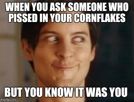 Spiderman Peter Parker | WHEN YOU ASK SOMEONE WHO PISSED IN YOUR CORNFLAKES BUT YOU KNOW IT WAS YOU | image tagged in memes,spiderman peter parker,funny,dirty,funny memes,too funny | made w/ Imgflip meme maker