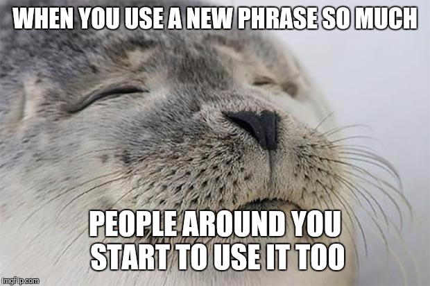 Satisfied Seal | WHEN YOU USE A NEW PHRASE SO MUCH PEOPLE AROUND YOU START TO USE IT TOO | image tagged in memes,satisfied seal | made w/ Imgflip meme maker
