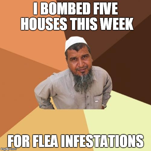 Call Ahmed at Orkin | I BOMBED FIVE HOUSES THIS WEEK FOR FLEA INFESTATIONS | image tagged in memes,ordinary muslim man,bugs | made w/ Imgflip meme maker