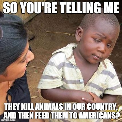 Third World Skeptical Kid Meme | SO YOU'RE TELLING ME THEY KILL ANIMALS IN OUR COUNTRY, AND THEN FEED THEM TO AMERICANS? | image tagged in memes,third world skeptical kid | made w/ Imgflip meme maker