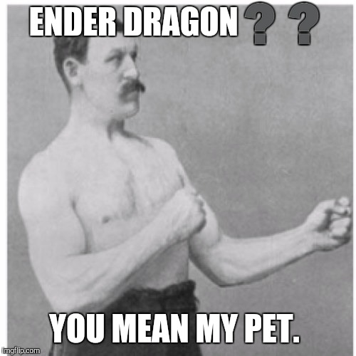 Overly Manly Man | ENDER DRAGON❓❓ YOU MEAN MY PET. | image tagged in memes,overly manly man | made w/ Imgflip meme maker