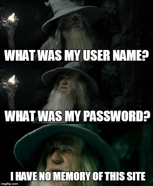 Confused Gandalf Meme | WHAT WAS MY USER NAME? WHAT WAS MY PASSWORD? I HAVE NO MEMORY OF THIS SITE | image tagged in memes,confused gandalf | made w/ Imgflip meme maker