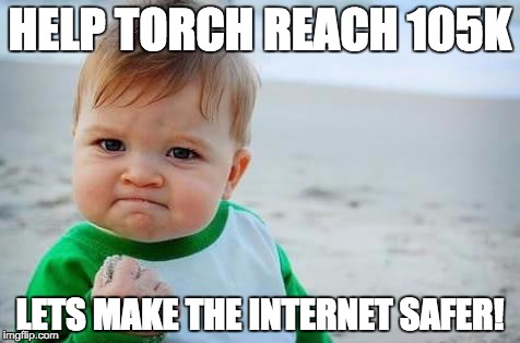 Fist pump baby | HELP TORCH REACH 105K LETS MAKE THE INTERNET SAFER! | image tagged in fist pump baby | made w/ Imgflip meme maker