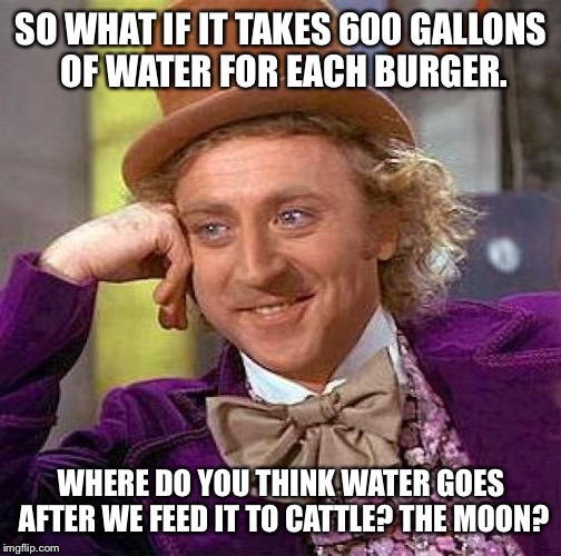 Creepy Condescending Wonka Meme | SO WHAT IF IT TAKES 600 GALLONS OF WATER FOR EACH BURGER. WHERE DO YOU THINK WATER GOES AFTER WE FEED IT TO CATTLE? THE MOON? | image tagged in memes,creepy condescending wonka | made w/ Imgflip meme maker