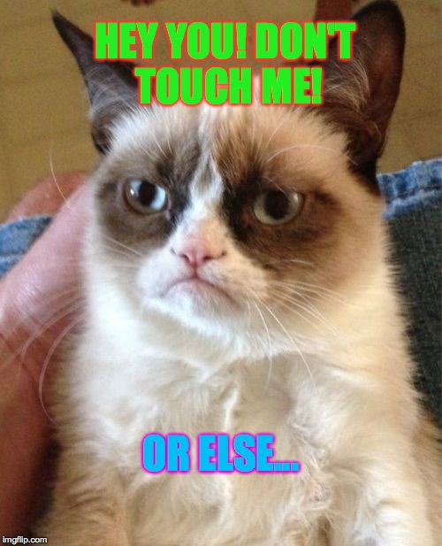 Grumpy Cat | HEY YOU! DON'T TOUCH ME! OR ELSE... | image tagged in memes,grumpy cat | made w/ Imgflip meme maker