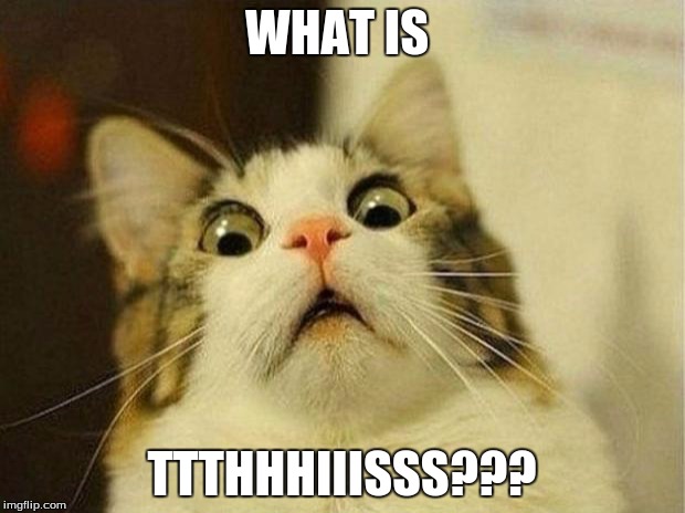 Scared Cat | WHAT IS TTTHHHIIISSS??? | image tagged in memes,scared cat | made w/ Imgflip meme maker