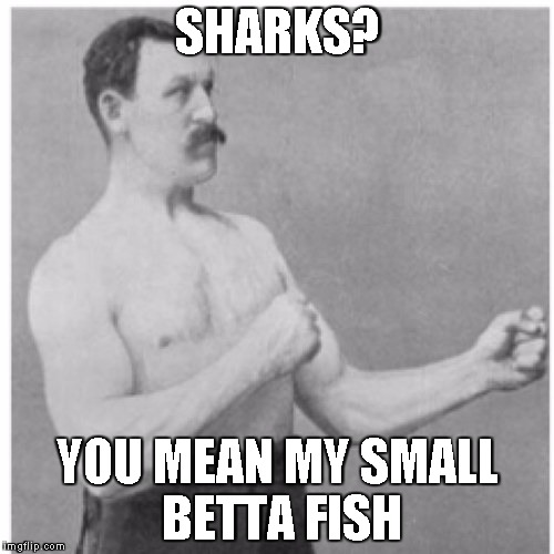 Overly Manly Man | SHARKS? YOU MEAN MY SMALL BETTA FISH | image tagged in memes,overly manly man | made w/ Imgflip meme maker