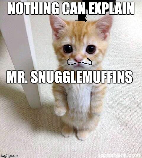 Cute Cat | NOTHING CAN EXPLAIN MR. SNUGGLEMUFFINS | image tagged in memes,cute cat | made w/ Imgflip meme maker