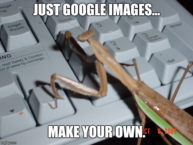 JUST GOOGLE IMAGES... MAKE YOUR OWN. | made w/ Imgflip meme maker