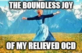 THE BOUNDLESS JOY OF MY RELIEVED OCD | made w/ Imgflip meme maker