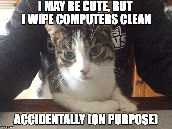 I MAY BE CUTE, BUT I WIPE COMPUTERS CLEAN ACCIDENTALLY (ON PURPOSE) | image tagged in neville | made w/ Imgflip meme maker