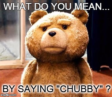 TED | WHAT DO YOU MEAN... BY SAYING "CHUBBY" ? | image tagged in memes,ted | made w/ Imgflip meme maker