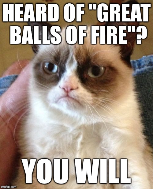 Grumpy Cat Meme | HEARD OF "GREAT BALLS OF FIRE"? YOU WILL | image tagged in memes,grumpy cat | made w/ Imgflip meme maker