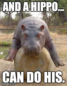 Happy hippo | AND A HIPPO... CAN DO HIS. | image tagged in happy hippo | made w/ Imgflip meme maker