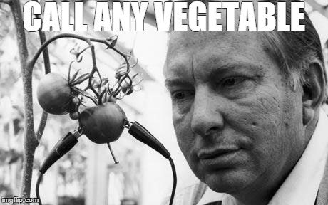 Call any vegetable | CALL ANY VEGETABLE | image tagged in call,any,vegetable,ron,hubbard,tomato | made w/ Imgflip meme maker