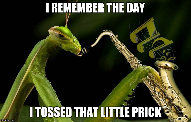 Mantis Playing Sax | I REMEMBER THE DAY I TOSSED THAT LITTLE PRICK | image tagged in mantis playing sax | made w/ Imgflip meme maker