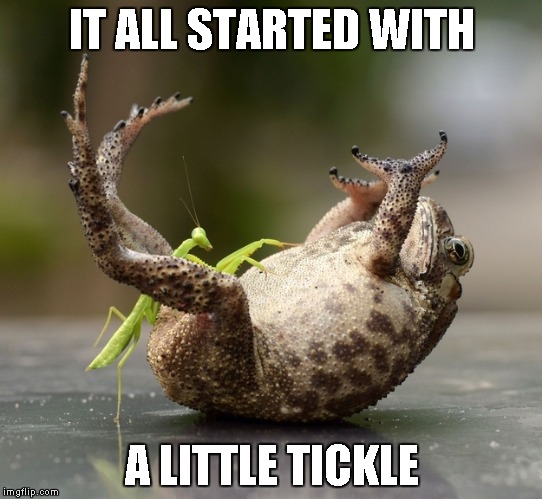 IT ALL STARTED WITH A LITTLE TICKLE | image tagged in mantis tickling toad | made w/ Imgflip meme maker