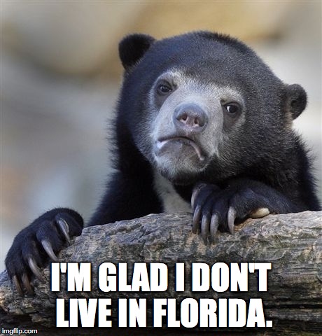 Confession Bear Meme | I'M GLAD I DON'T LIVE IN FLORIDA. | image tagged in memes,confession bear | made w/ Imgflip meme maker