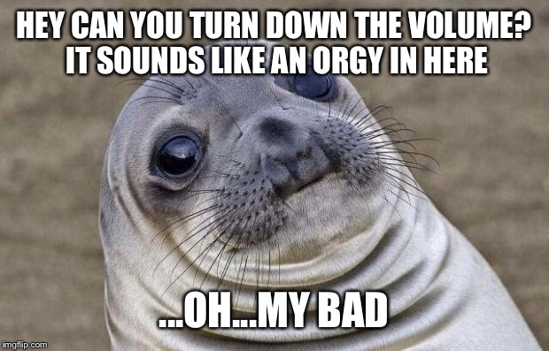Probably should've knocked | HEY CAN YOU TURN DOWN THE VOLUME? IT SOUNDS LIKE AN ORGY IN HERE ...OH...MY BAD | image tagged in memes,awkward moment sealion | made w/ Imgflip meme maker