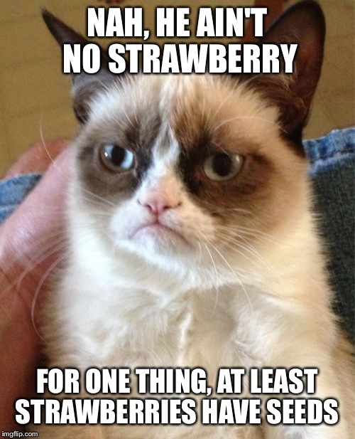 NAH, HE AIN'T NO STRAWBERRY FOR ONE THING, AT LEAST STRAWBERRIES HAVE SEEDS | image tagged in memes,grumpy cat | made w/ Imgflip meme maker