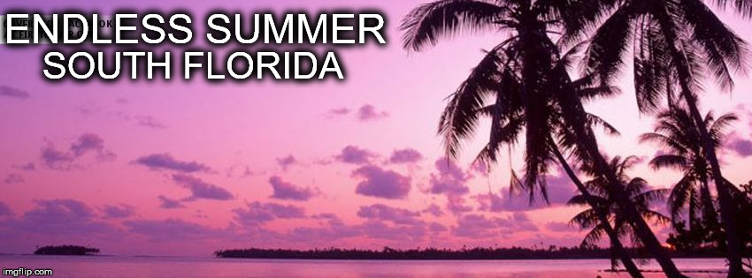 Endless Summer | ENDLESS SUMMER SOUTH FLORIDA | image tagged in endless summer | made w/ Imgflip meme maker