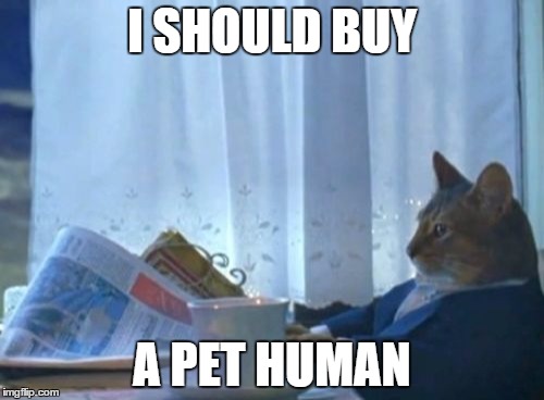 I Should Buy A Boat Cat | I SHOULD BUY A PET HUMAN | image tagged in memes,i should buy a boat cat | made w/ Imgflip meme maker