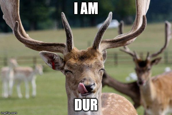 deer thug life | I AM DUR | image tagged in deer thug life | made w/ Imgflip meme maker