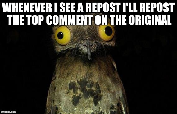 Weird Stuff I Do Potoo Meme | WHENEVER I SEE A REPOST I'LL REPOST THE TOP COMMENT ON THE ORIGINAL | image tagged in memes,weird stuff i do potoo | made w/ Imgflip meme maker