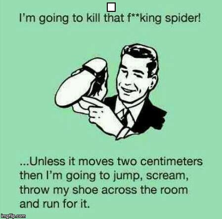 stayspider | . | image tagged in stayspider | made w/ Imgflip meme maker