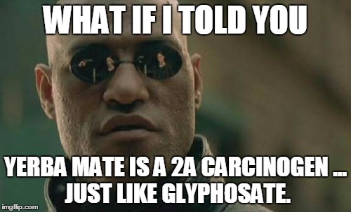 Matrix Morpheus Meme | WHAT IF I TOLD YOU YERBA MATE IS A 2A CARCINOGEN
... JUST LIKE GLYPHOSATE. | image tagged in memes,matrix morpheus | made w/ Imgflip meme maker