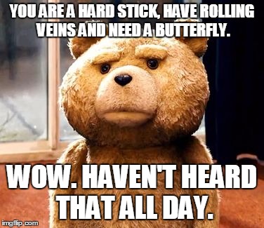 TED Meme | YOU ARE A HARD STICK, HAVE ROLLING VEINS AND NEED A BUTTERFLY. WOW. HAVEN'T HEARD THAT ALL DAY. | image tagged in memes,ted | made w/ Imgflip meme maker