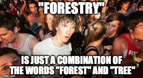 Sudden Clarity Clarence Meme | "FORESTRY" IS JUST A COMBINATION OF THE WORDS "FOREST" AND "TREE" | image tagged in memes,sudden clarity clarence | made w/ Imgflip meme maker