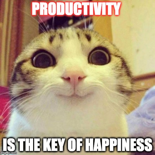 Smiling Cat Meme | PRODUCTIVITY IS THE KEY OF HAPPINESS | image tagged in memes,smiling cat | made w/ Imgflip meme maker