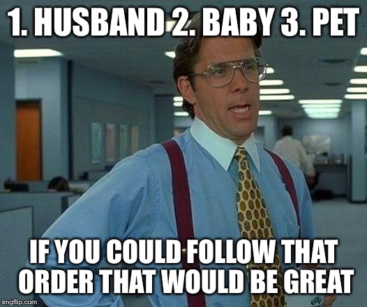 That Would Be Great Meme | 1. HUSBAND 2. BABY 3. PET IF YOU COULD FOLLOW THAT ORDER THAT WOULD BE GREAT | image tagged in memes,that would be great | made w/ Imgflip meme maker