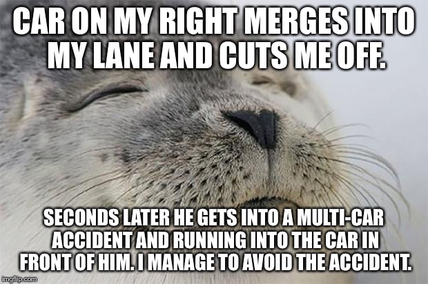 Satisfied Seal Meme | CAR ON MY RIGHT MERGES INTO MY LANE AND CUTS ME OFF. SECONDS LATER HE GETS INTO A MULTI-CAR ACCIDENT AND RUNNING INTO THE CAR IN FRONT OF HI | image tagged in memes,satisfied seal | made w/ Imgflip meme maker