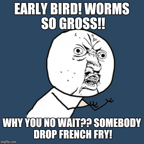 Y U No | EARLY BIRD! WORMS SO GROSS!! WHY YOU NO WAIT?? SOMEBODY DROP FRENCH FRY! | image tagged in memes,y u no | made w/ Imgflip meme maker