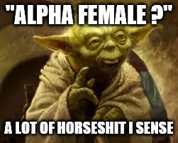 yoda | "ALPHA FEMALE ?" A LOT OF HORSESHIT I SENSE | image tagged in yoda | made w/ Imgflip meme maker