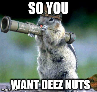 Bazooka Squirrel Meme | SO YOU WANT DEEZ NUTS | image tagged in memes,bazooka squirrel | made w/ Imgflip meme maker