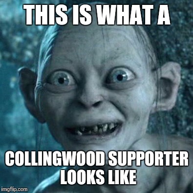 Gollum | THIS IS WHAT A COLLINGWOOD SUPPORTER LOOKS LIKE | image tagged in memes,gollum | made w/ Imgflip meme maker