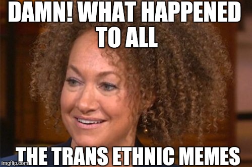 Miss this issue | DAMN! WHAT HAPPENED TO ALL THE TRANS ETHNIC MEMES | image tagged in transgender,racism,race,black and white | made w/ Imgflip meme maker