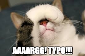 facepalm cat | AAAARGG! TYPO!!! | image tagged in facepalm cat | made w/ Imgflip meme maker