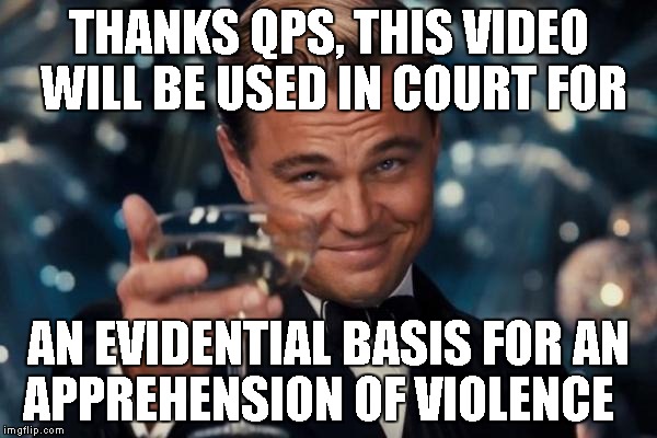 Leonardo Dicaprio Cheers | THANKS QPS, THIS VIDEO WILL BE USED IN COURT FOR AN EVIDENTIAL BASIS FOR AN APPREHENSION OF VIOLENCE | image tagged in memes,leonardo dicaprio cheers | made w/ Imgflip meme maker