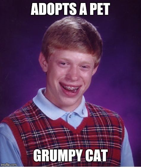 Bad Luck Brian Meme | ADOPTS A PET GRUMPY CAT | image tagged in memes,bad luck brian | made w/ Imgflip meme maker