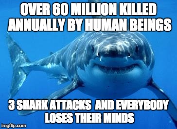 sharks | OVER 60 MILLION KILLED ANNUALLY BY HUMAN BEINGS 3 SHARK ATTACKS  AND EVERYBODY LOSES THEIR MINDS | image tagged in sharks | made w/ Imgflip meme maker