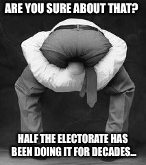 ARE YOU SURE ABOUT THAT? HALF THE ELECTORATE HAS BEEN DOING IT FOR DECADES... | made w/ Imgflip meme maker