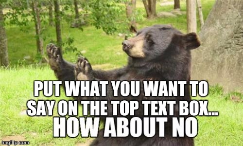 How About No Bear Meme | PUT WHAT YOU WANT TO SAY ON THE TOP TEXT BOX... | image tagged in memes,how about no bear | made w/ Imgflip meme maker