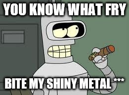 Bender | YOU KNOW WHAT FRY BITE MY SHINY METAL *** | image tagged in bender | made w/ Imgflip meme maker